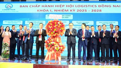 מר פאן דין קאן נבחר ליו"ר איגוד הלוגיסטיקה דונג נאי.