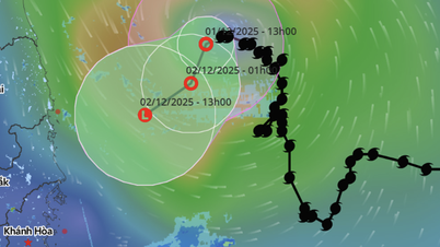 Évolution inattendue de la tempête n° 15 Koto : la mer de l'Est devrait connaître 1 à 2 autres tempêtes en décembre.