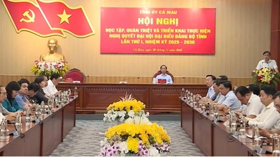 Ca Mau organiseerde een conferentie om de resolutie van het 1e provinciale partijcongres (termijn 2025-2030) te bestuderen, verspreiden, propageren en implementeren.