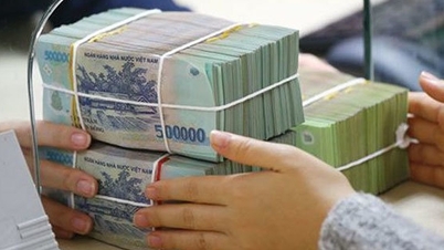 Las cooperativas propietarias de activos, legalmente enredadas, aún tienen dificultades para acceder al capital