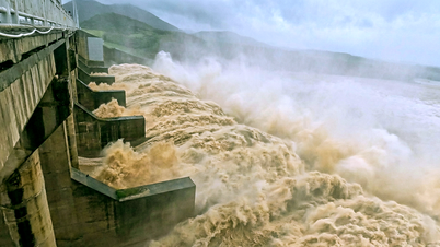 Ramai pemimpin utama Loji Tenaga Hidro Song Ba Ha 'mengambil cuti' untuk bekerja dengan pihak berkuasa