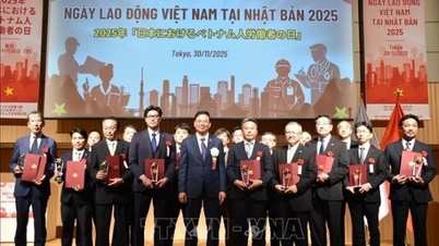 O Dia do Trabalho do Vietnã no Japão abre expectativas para a cooperação em recursos humanos entre os dois países.