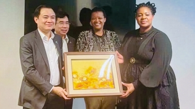 پیٹرو ویتنام جنوبی افریقہ کے شراکت داروں کے ساتھ تیل اور گیس اور توانائی کے شعبوں میں تعاون کے نئے مواقع تلاش کرتا ہے