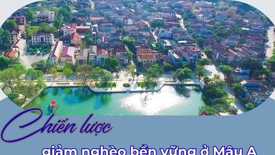 Mau A'da sürdürülebilir yoksulluk azaltma stratejisi