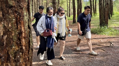 Du lịch Việt Nam sắp lập kỷ lục mới, Gen Z xem mỗi chuyến đi là 'thành tựu cá nhân'