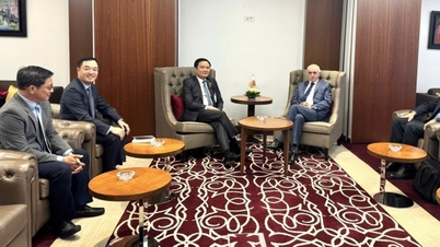 Direktur Jenderal Petrovietnam Le Ngoc Son bekerja sama dengan Sonatrach dan ALNAFT