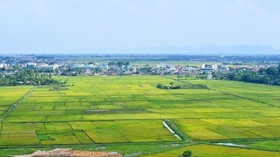 農地の宅地化に高額な料金、財務省は何と言っているのか？