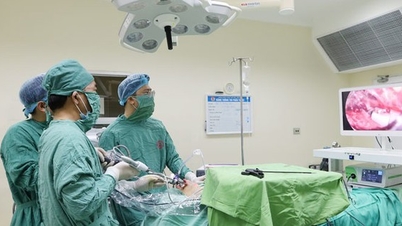 베트남 - 스웨덴 우옹비 병원의 경구내시경 갑상선 수술
