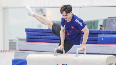 La Fédération vietnamienne de gymnastique remet des médailles aux 33e Jeux d'Asie du Sud-Est