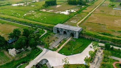 Ho Dynasty Citadel៖ បទពិសោធន៍រទេះក្របី មើលវាលស្រែពណ៌បៃតង