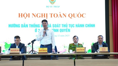 Instruções para estatísticas e revisão de procedimentos administrativos nos 3 níveis de governo