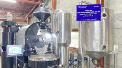 Dak Lak: Dukungan peralatan, membantu bisnis rintisan mencapai terobosan