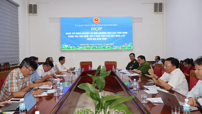 홍수 후 폐기물 긴급 수거 및 처리