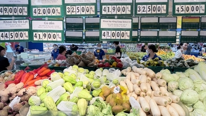 นครโฮจิมินห์: มั่นใจอุปทานผักใบเขียว รักษาเสถียรภาพราคา