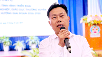 Como será implementado o programa de ensino secundário profissionalizante?