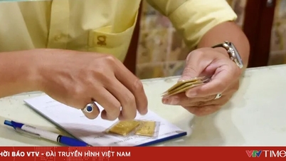 Návrh na uplatnění prahové hodnoty zdanitelného zlata při převodu