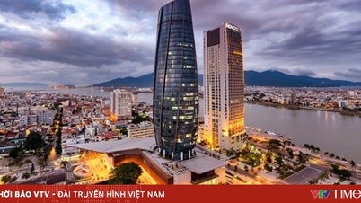 Da Nang proposes to add free trade zone mechanism