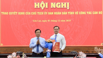 Zemský lidový výbor předložil rozhodnutí předsedy Zemského lidového výboru o personální práci.