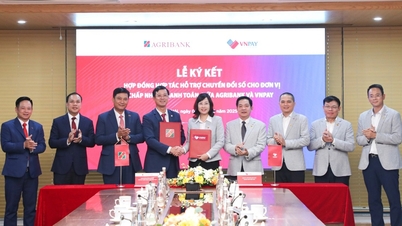 Agribank는 VNPAY와 협력하여 기업과 단체에 디지털 전환을 위한 우선 지원을 제공합니다.