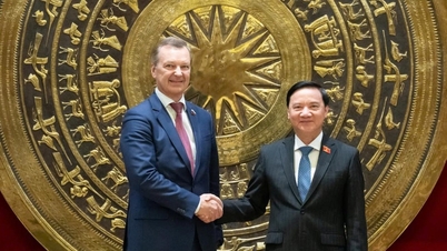 Promoción de una cooperación parlamentaria integral entre Vietnam y la Federación de Rusia