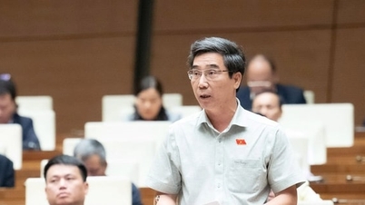 اراضی قانون کے نفاذ میں حائل رکاوٹوں کو دور کرنے کے لیے بہت سی نئی تجاویز