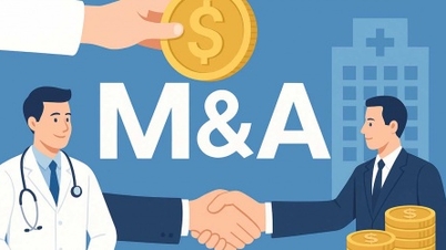 M&A dalam sektor penjagaan kesihatan menjadi "lombong emas" bagi pelabur asing.