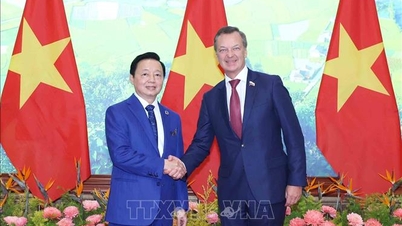 نائب رئيس الوزراء تران هونغ ها يستقبل النائب الأول لرئيس مجلس الاتحاد في برلمان الاتحاد الروسي.