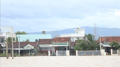 Od Quang Ngai do Khanh Hoa proaktywnie reagujemy na ulewne deszcze