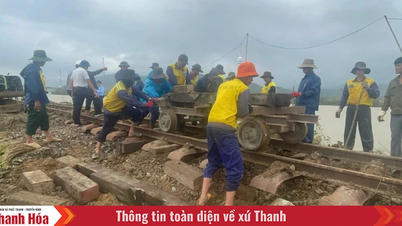 تكبدت السكك الحديدية خسائر تقدر بنحو 50 مليار دونج بسبب الفيضانات في منطقة الجنوب الوسطى