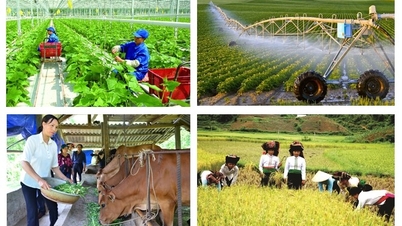 Conclusion of the Politburo on continuing to implement Resolution No. 19-NQ/TW, dated June 16, 2022 of the 13th Party Central Committee on agriculture, farmers, and rural areas to 2030, with a vision to 2045