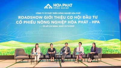 Aspectele ascunse, puțin cunoscute, ale incursiunii miliardarului Tran Dinh Long în agricultură.