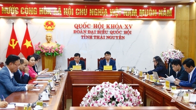 Beschleunigung der datenbasierten Reduzierung von Verwaltungsverfahren