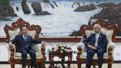 Vietnam og Laos styrker samarbeidet for å fremme det spesielle forholdet mellom de to landene