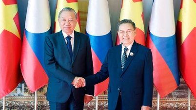Secretário-Geral para Lam: Fortalecimento das relações entre as duas Assembleias Nacionais do Vietnã e do Laos