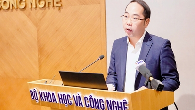 Consideração para a atribuição do Prêmio Ho Chi Minh e do Prêmio Estatal de Ciência e Tecnologia, 7ª edição.