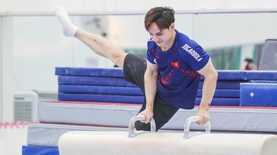 כמה מתגמלת התעמלות וייטנאם על מדליות במשחקי SEA 33?