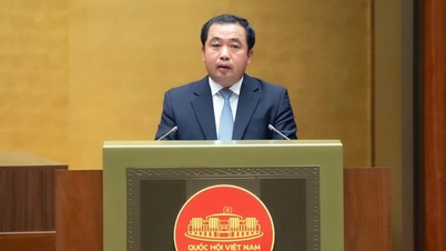 Особым случаем является возврат земель, когда проектом согласовано более 75% площади.