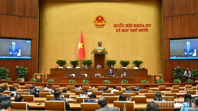 Anunțarea a 5 Rezoluții ale Comitetului Permanent al celei de-a XV-a Adunări Naționale