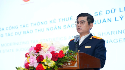 ترویج ساخت یک سیستم داده‌های مدیریت مالیات مطابق با استانداردهای بین‌المللی