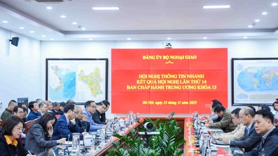 Komite Partai Kementerian Luar Negeri segera menginformasikan hasil Konferensi Pusat ke-14