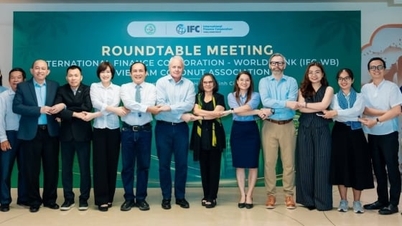 Hợp tác quốc tế nâng giá trị cạnh tranh của ngành dừa Việt Nam