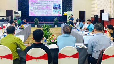 Gia Lai ស្វែងរកវិធីយ៉ាងសកម្មដើម្បីសម្របខ្លួនទៅនឹង EUDR