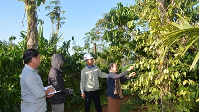 Upaya maksimal untuk kemajuan ruas jalan tol Gia Nghia - Chon Thanh