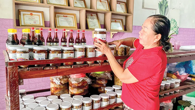 ឧស្សាហ៍​ធ្វើ​ទឹក​ត្រី​ដ៏​អ៊ូអរ