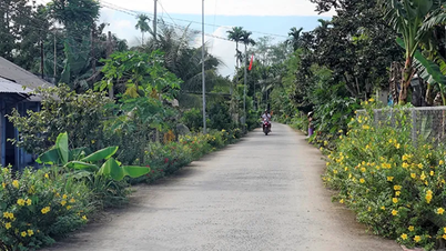 지역사회에 다양한 자기관리 모델을 구현합니다.