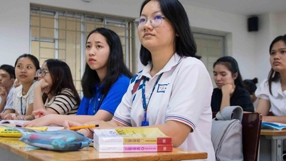 انگریزی بطور دوسری زبان: دو لسانی اساتذہ کی تربیت کے لیے ایک روڈ میپ