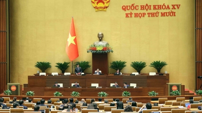 Le 2 décembre, l'Assemblée nationale a examiné la politique d'investissement du Programme national ciblé.