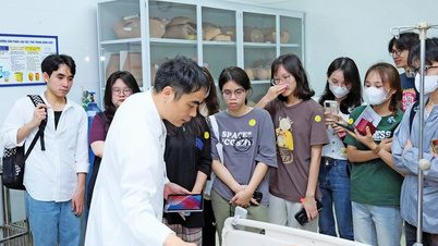 Aprimorando a qualidade do treinamento médico: Não 'deixe as galinhas correrem soltas'