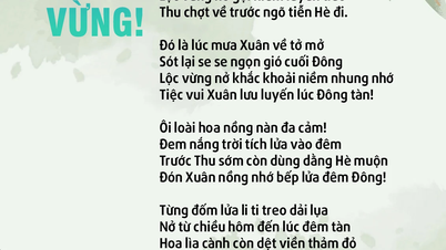 Masih tersisa… Barringtonia acutangula!