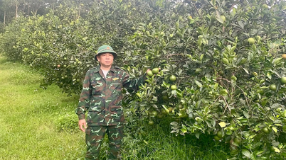 Menaklukkan daerah perbukitan Tram Tieu